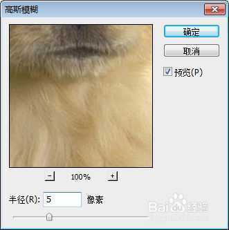 ‘ps如何让背景模糊?ps照片背景虚化教程‘