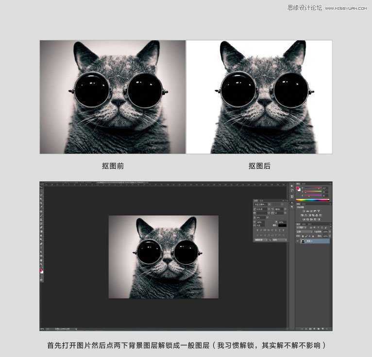 ‘Photoshop使用通道给黑色猫咪抠图‘