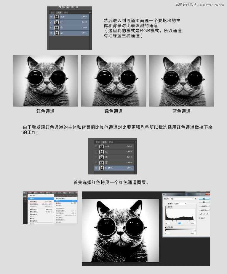 ‘Photoshop使用通道给黑色猫咪抠图‘