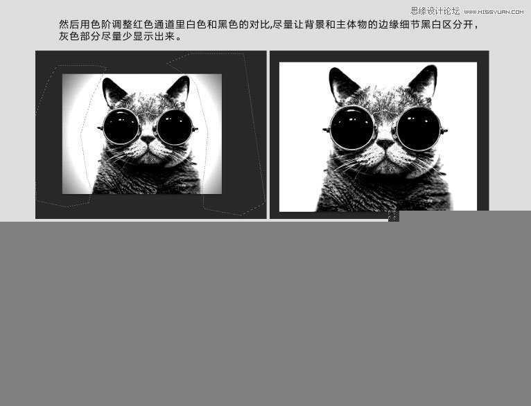 ‘Photoshop使用通道给黑色猫咪抠图‘