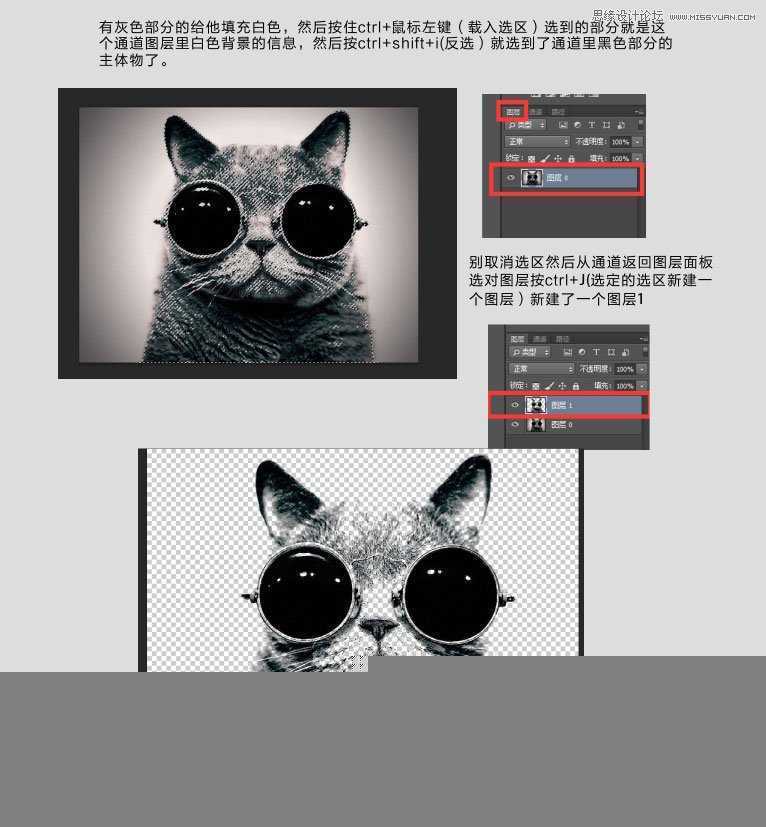 ‘Photoshop使用通道给黑色猫咪抠图‘