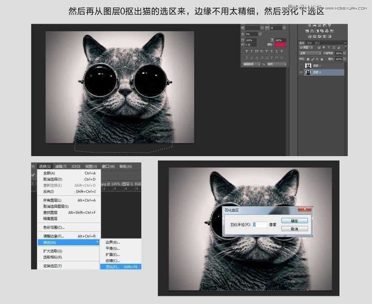 ‘Photoshop使用通道给黑色猫咪抠图‘