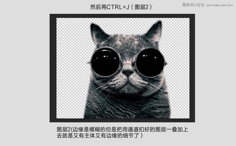 ‘Photoshop使用通道给黑色猫咪抠图‘