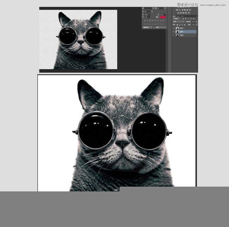 ‘Photoshop使用通道给黑色猫咪抠图‘