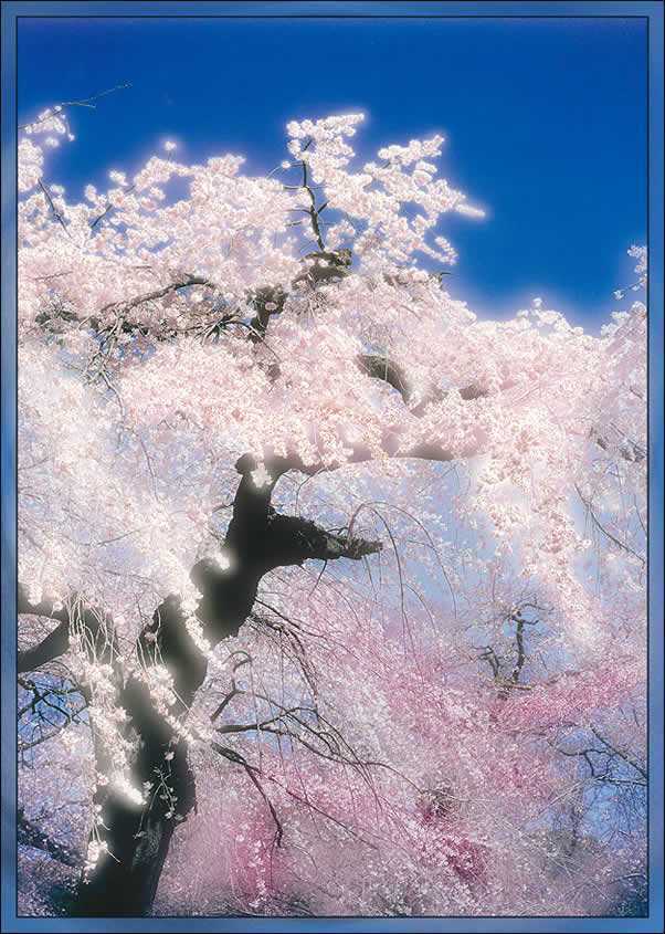 Photoshop处理风景照片为艺术特效_脚本之家jb51.net在线转载