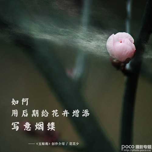 ‘ps为花卉后期处理增添写意烟雾效果‘