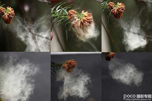 ‘ps为花卉后期处理增添写意烟雾效果‘
