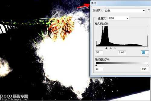 ‘ps为花卉后期处理增添写意烟雾效果‘