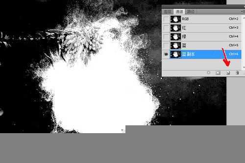 ‘ps为花卉后期处理增添写意烟雾效果‘