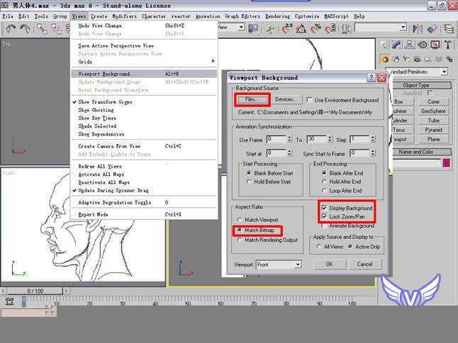 3dmax人头建模教程 脚本之家 3DSMAX建模教程