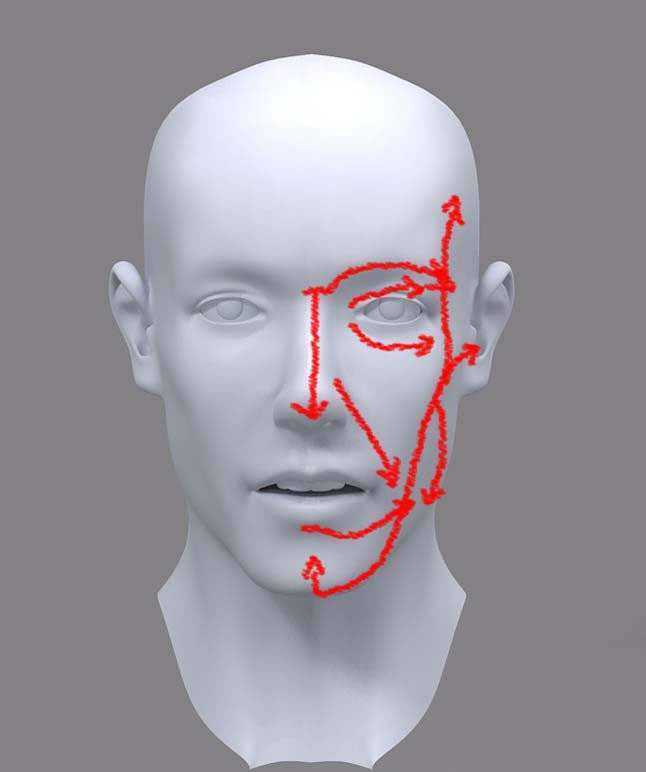 3dmax人头建模教程 脚本之家 3DSMAX建模教程