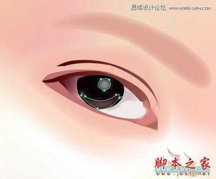 Illustrator网格工具绘制写实美女教程,脚本之家