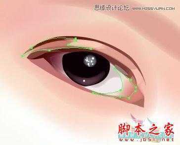 Illustrator网格工具绘制写实美女教程,脚本之家
