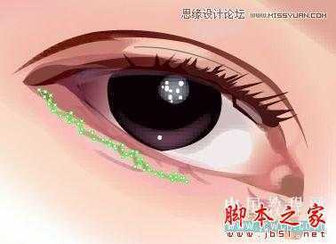 Illustrator网格工具绘制写实美女教程,脚本之家