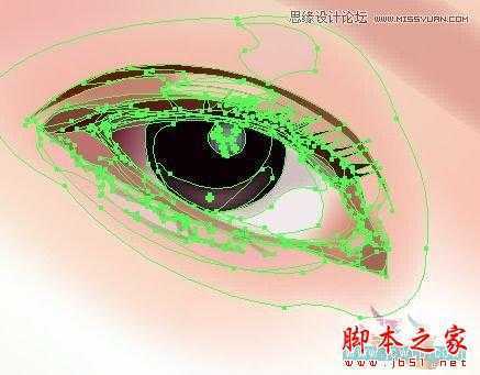 Illustrator网格工具绘制写实美女教程,脚本之家