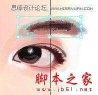 Illustrator网格工具绘制写实美女教程,脚本之家