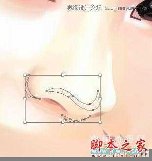 Illustrator网格工具绘制写实美女教程,脚本之家