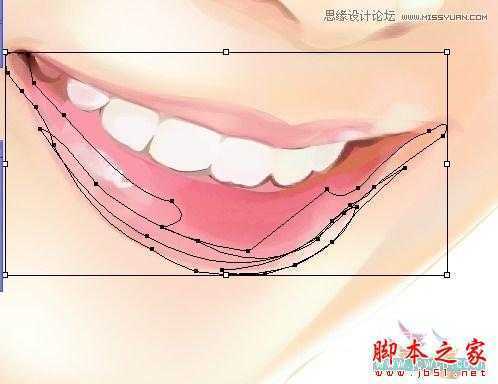 Illustrator网格工具绘制写实美女教程,脚本之家