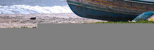 ‘绿色风景照片PS后期系统全面的修图知识分享‘