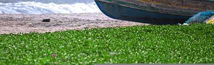 ‘绿色风景照片PS后期系统全面的修图知识分享‘