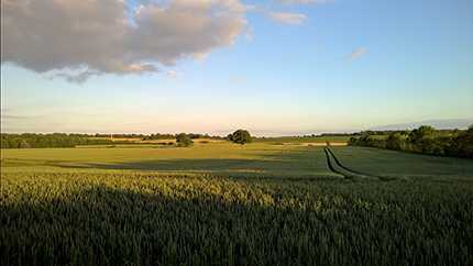 ‘绿色风景照片PS后期系统全面的修图知识分享‘