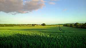 ‘绿色风景照片PS后期系统全面的修图知识分享‘