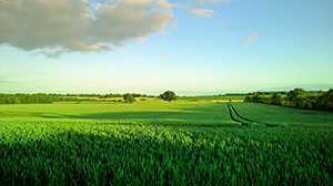 ‘绿色风景照片PS后期系统全面的修图知识分享‘