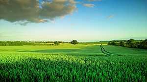 ‘绿色风景照片PS后期系统全面的修图知识分享‘