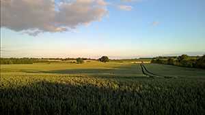 ‘绿色风景照片PS后期系统全面的修图知识分享‘