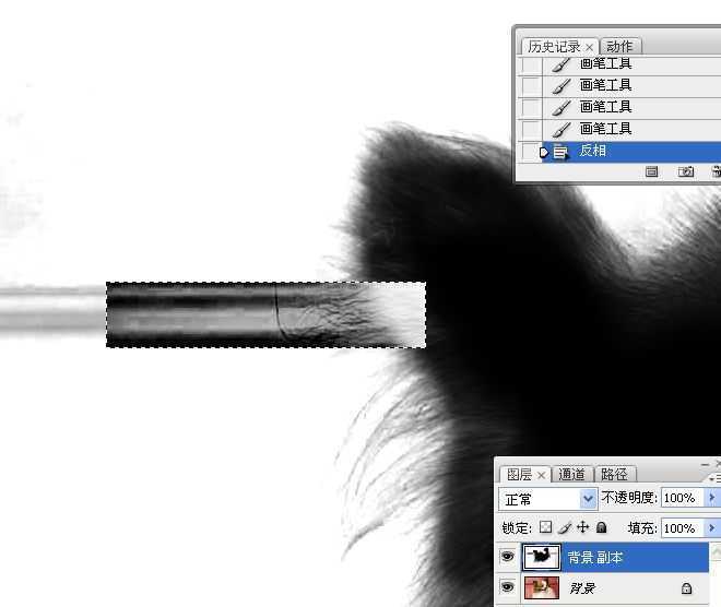 ‘ps利用通道混合器及画笔抠出毛发较多的宠物狗‘