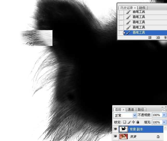 ‘ps利用通道混合器及画笔抠出毛发较多的宠物狗‘
