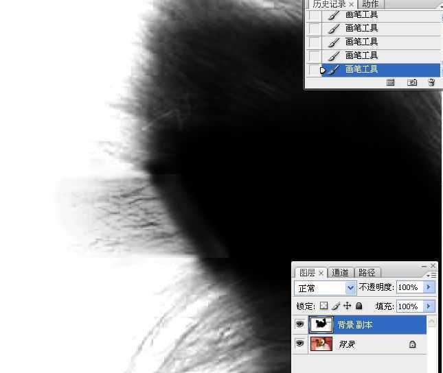‘ps利用通道混合器及画笔抠出毛发较多的宠物狗‘