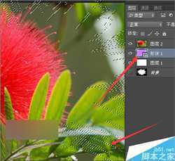 ‘ps利用遮罩制作出一些另类风格的图片或视频效果‘