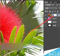 ‘ps利用遮罩制作出一些另类风格的图片或视频效果‘