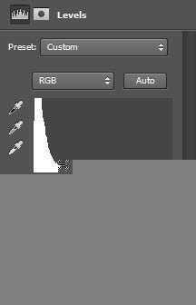 ‘Photoshop打造颓废创意的金色鲜花人像海报‘