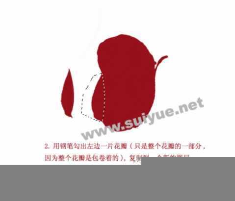 ‘PS利用钢笔工具鼠绘逼真娇艳玫瑰花‘