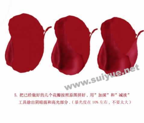 ‘PS利用钢笔工具鼠绘逼真娇艳玫瑰花‘