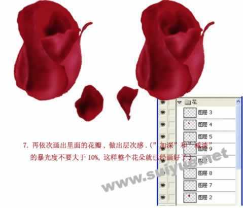 ‘PS利用钢笔工具鼠绘逼真娇艳玫瑰花‘