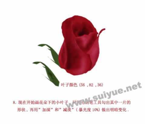 ‘PS利用钢笔工具鼠绘逼真娇艳玫瑰花‘