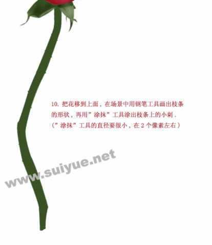 ‘PS利用钢笔工具鼠绘逼真娇艳玫瑰花‘