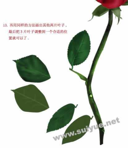 ‘PS利用钢笔工具鼠绘逼真娇艳玫瑰花‘