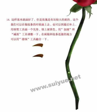 ‘PS利用钢笔工具鼠绘逼真娇艳玫瑰花‘