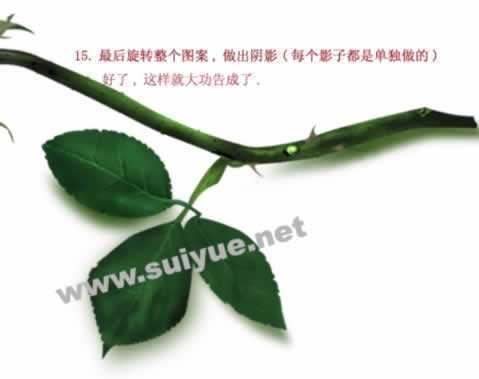 ‘PS利用钢笔工具鼠绘逼真娇艳玫瑰花‘