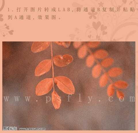 ‘PS把绿叶调成怀旧橙褐色磨砂效果图‘