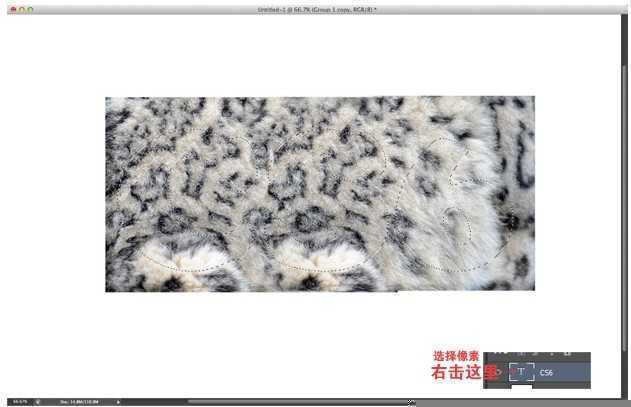 ‘PhotoShop(PS)设计打造出非常酷的毛茸茸字体效果实例教程‘