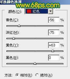 ‘Photoshop制作鲜丽的橙黄色郁金香图片‘