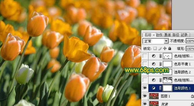 ‘Photoshop制作鲜丽的橙黄色郁金香图片‘