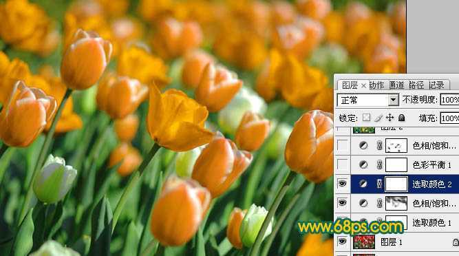 ‘Photoshop制作鲜丽的橙黄色郁金香图片‘