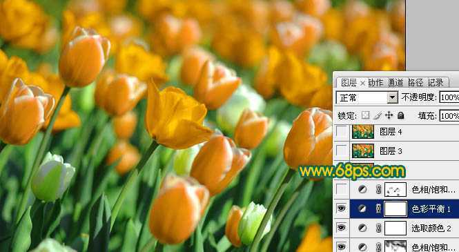 ‘Photoshop制作鲜丽的橙黄色郁金香图片‘