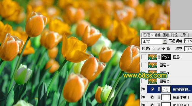 ‘Photoshop制作鲜丽的橙黄色郁金香图片‘